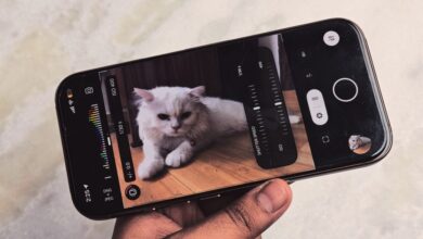 Adobe made the best iPhone camera app you haven’t tried yet, and it’s free