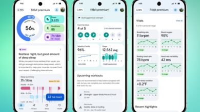 Fitbit's new conversational AI Coach turns your fitness data into actionable insights