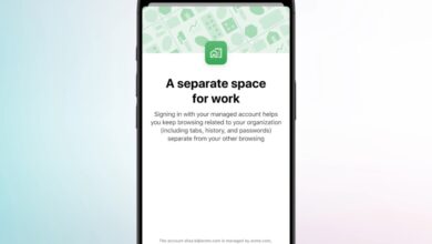 Google Chrome makes it easier for iPhone users to separate work and play 