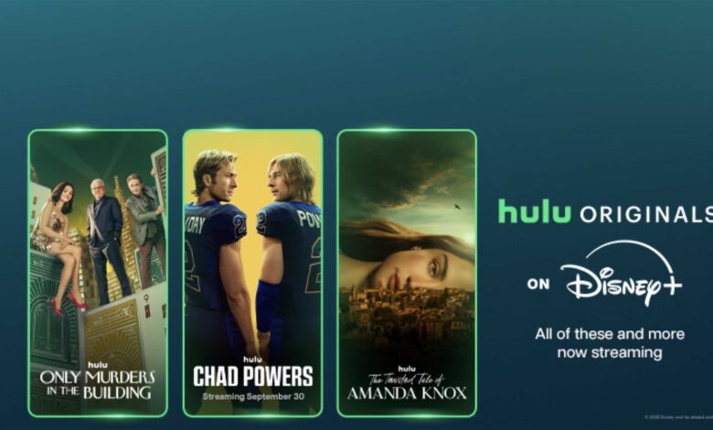 Disney+ Hulu