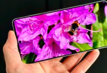 I underestimated the Galaxy S25 Edge's camera. Here's why you shouldn't