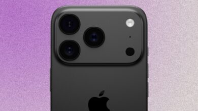 Leaked iPhone 17 cases show just how big camera bump could be on Pros