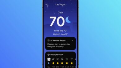 Pollen got you sniffly? Google Pixel Weather can now help with that