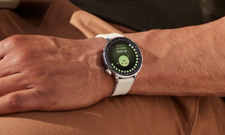 The best Android smartwatch is coming in a smaller size, with minimal compromise