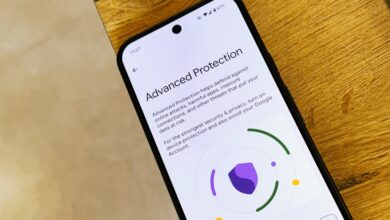 The real gems in Android 16 are Advanced Protection and Identity Check