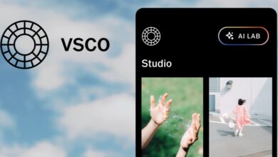 VSCO AI Lab promises pristine photo editing without AI slop effects