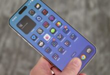 Why you shouldn't care what number Apple puts on your iPhone's software